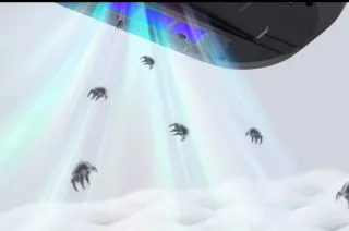 Limpieza a domicilio de colchones/cojines/sofás