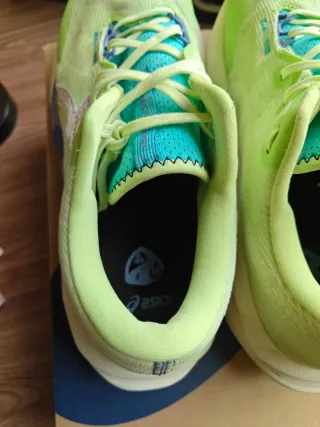 Zapatillas Asics Novablast TR 5 Verde  44 Running