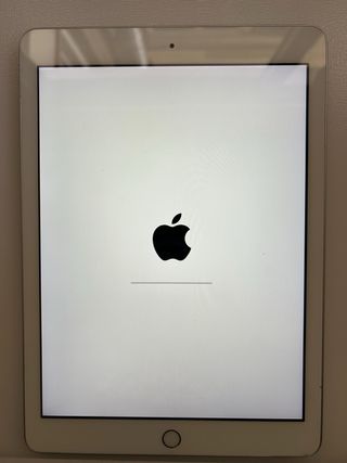 Apple iPad 5ta Gen Plata