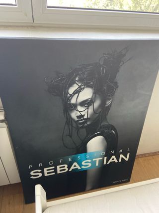 Cuadro Sebastian Professional
