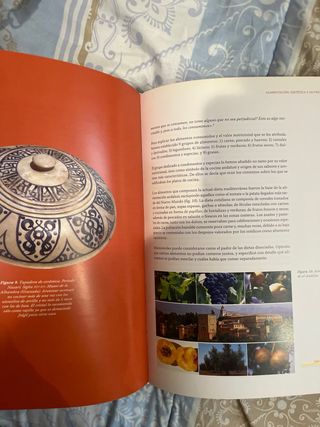 La alimentación y la nutrición a través de la h...