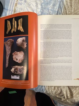 La alimentación y la nutrición a través de la h...