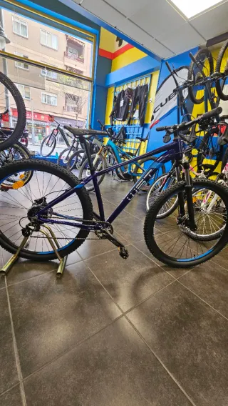 Bicicleta Montaña Wst Poison 1x9