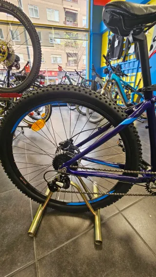 Bicicleta Montaña Wst Poison 1x9