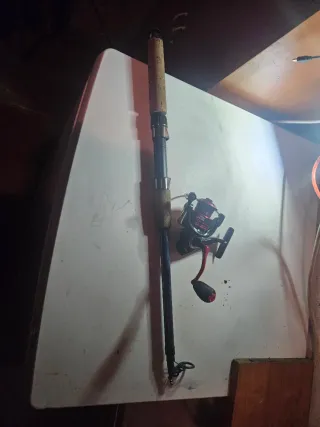 Caña de pescar y carrete