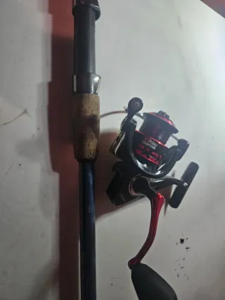 Caña de pescar y carrete