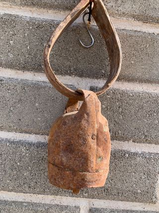 Campanaccio antico raro da collezione