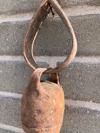 Campanaccio antico raro da collezione