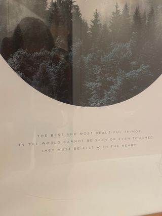 Lámina decorativa bosque y cita