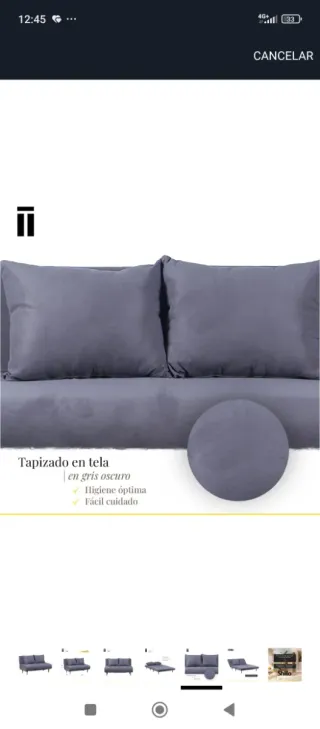 Sofá cama 2 plazas gris