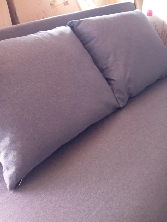 Sofá cama 2 plazas gris