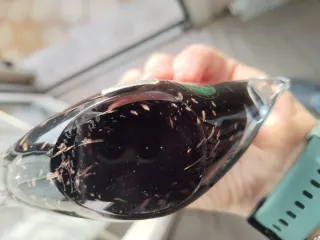 Raro pesce in cristallo