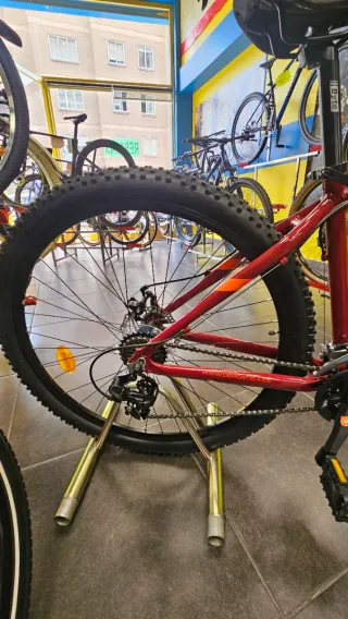 Bicicleta Montaña Wst Cosmo 29 DM