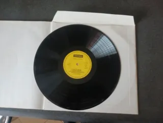 Libro illustrato Die Singvögel Europas con disco