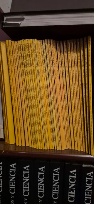 Números de revista National Geographic 1998-2010.