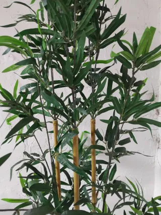 Planta Bambú Artificial