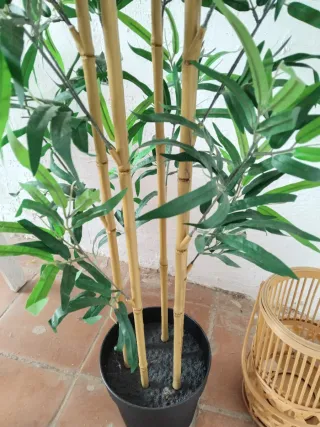 Planta Bambú Artificial