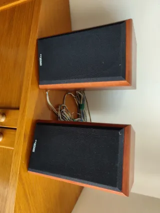 Altavoces System Negros y Marrones