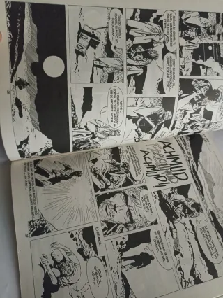 2 ejemplares colección Piloto