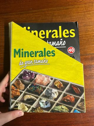 Collezione di minerali