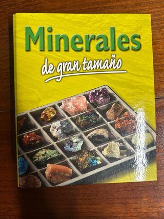 Collezione di minerali