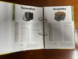 Collezione di minerali