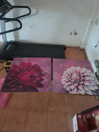 Cuadros florales morados y rojos