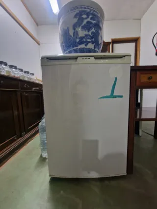 Nevera Balay, Congelador Ansonic