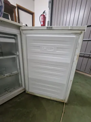 Nevera Balay, Congelador Ansonic