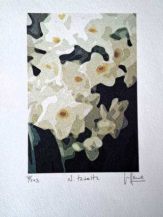 3 litografie originali di Valentín Lence