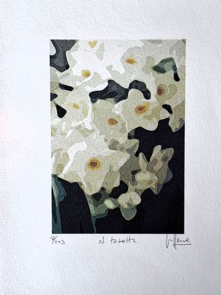 3 litografie originali di Valentín Lence