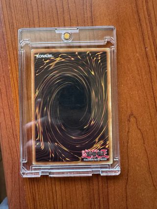 Drago Bianco Occhi Blu MIK-1001