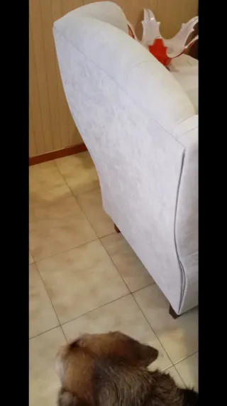 2 Sillones Orejeros Beige Súper Cómodos