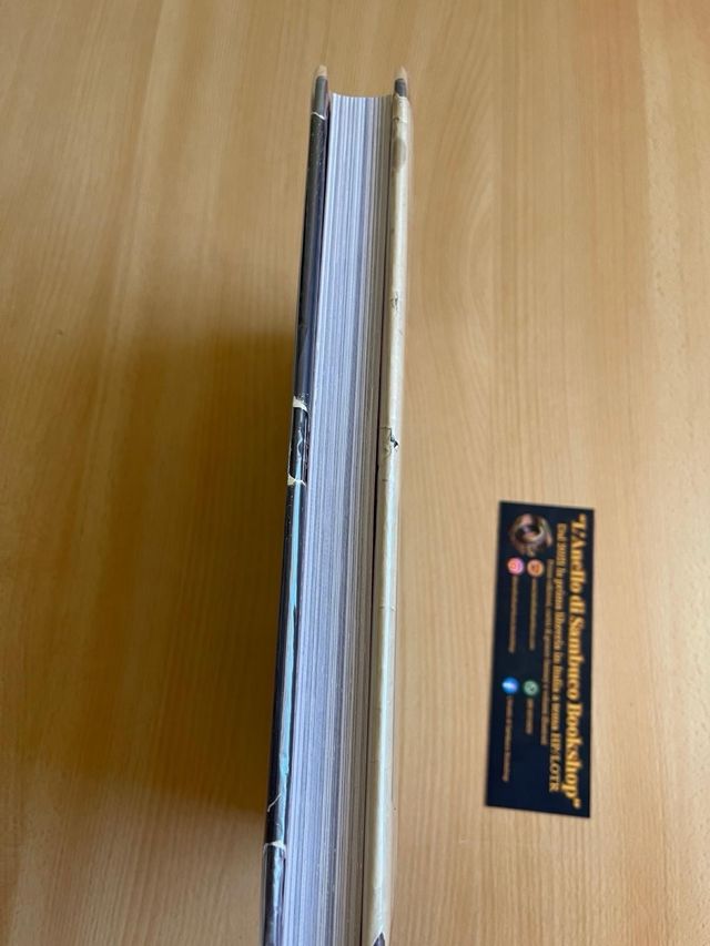 Stranger Things il libro ufficiale serie Netflix