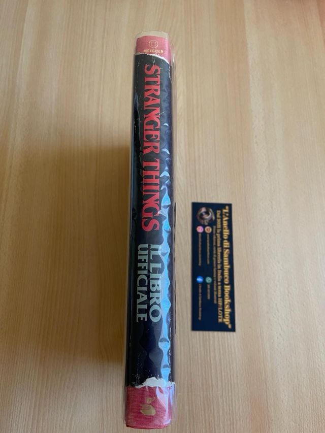 Stranger Things il libro ufficiale serie Netflix