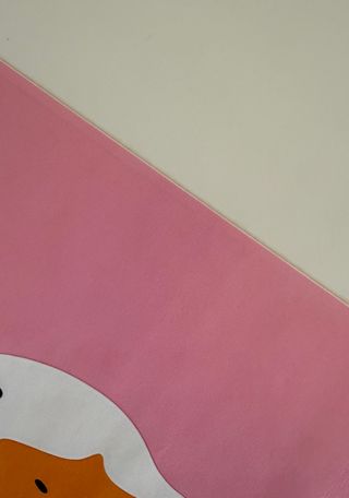 Poster Papera su sfondo rosa 30x40