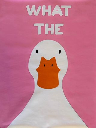 Poster Papera su sfondo rosa 30x40