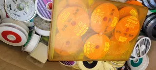 Lote sedales nailon pesca TORTUGA