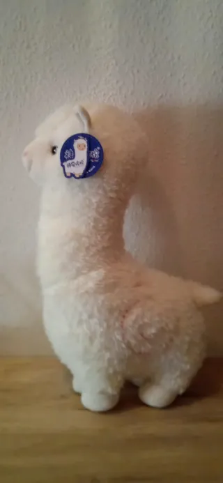 Bolso Llama Multicolor