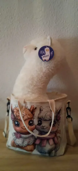 Bolso Llama Multicolor