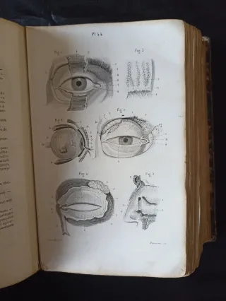 Petit Atlas Complet d'Anatomie Descriptive - J.-N.