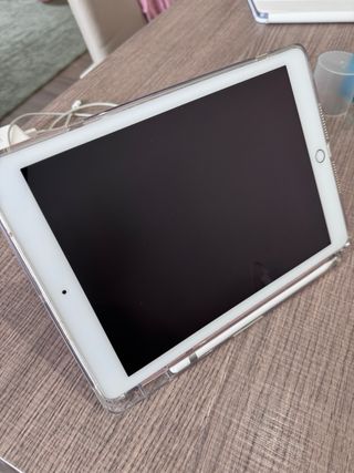 iPad Pro A1674 Rosa 256gb