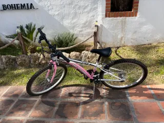 Bicicleta Montaña Rosa 24