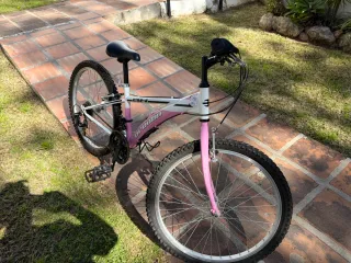 Bicicleta Montaña Rosa 24