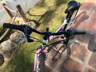 Bicicleta Montaña Rosa 24