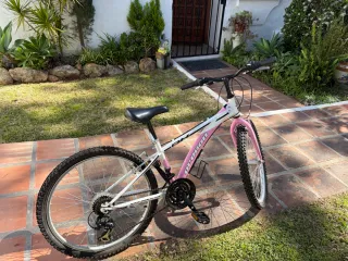 Bicicleta Montaña Rosa 24