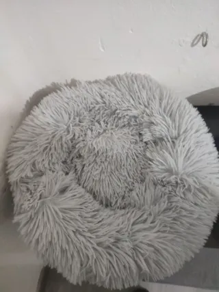 Box per gatti con lettino morbido