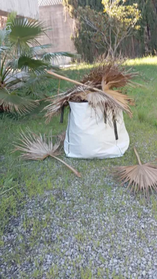 Jardinería. Corto césped