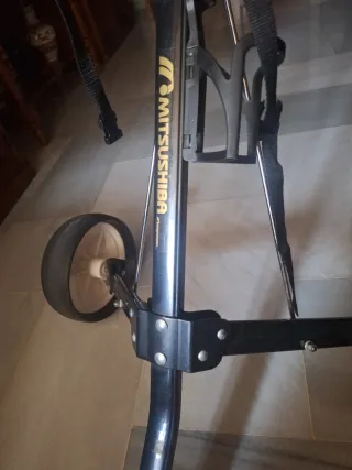 Carrito de golf para bolsa de palos