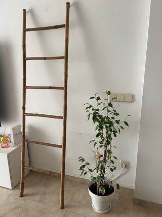 Escalera de caña de madera nueva